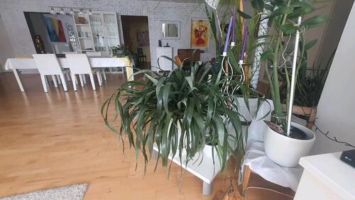 Foto - Erdgeschoßwohnung in Uslar zur Miete