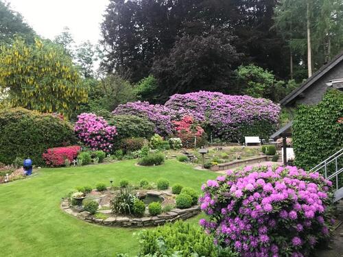 Foto - 3 Zimmer Etagenwohnung zur Miete in Wipperfürth