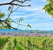 Weinberg in Volkach (Brand) 4219 qm