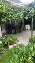 Foto - Einfamilienhaus in Lauchheim zum Kaufen