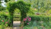 Foto - Schrebergarten - 3.800,00 EUR Kaltmiete, ca.  0,00 m²