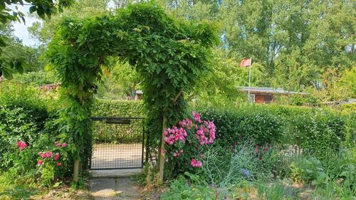 Foto - Schrebergarten - 3.800,00 EUR Kaltmiete, ca.  0,00 m²