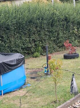 Foto - Grundst&uuml;ck in Magdeburg