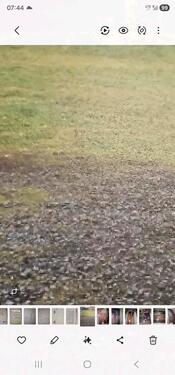 Foto - 1000m² Bauplatz - 500,00&nbsp;EUR Kaltmiete,