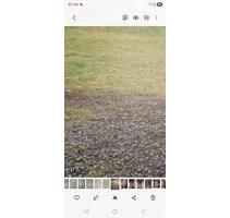 1000m² Bauplatz - 500,00&nbsp;EUR Kaltmiete, in Zweibrücken (PLZ: 66482)