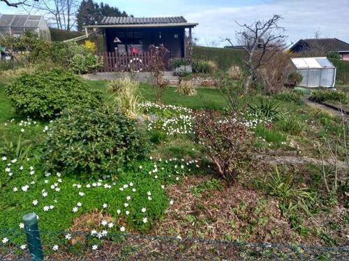 Foto - Kleingarten an Elektriker abzugeben Solingen, Bimerich GNr. 67