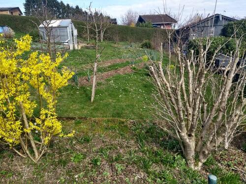 Foto - Grundst&uuml;ck in Solingen