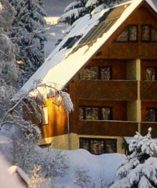 Foto - Ferienhaus im Erzgebirge, bis zu 12 Pers.