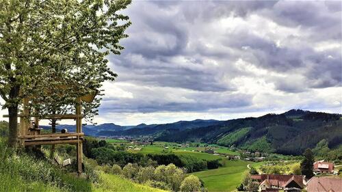Foto - 