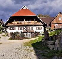 Ferienhaus,Ferienwohnung,Bauernhof-Urlaub,Schwarzwald - Oberharmersbach