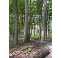 Grundstück in begehrter Lage nähe Julianenpark Sackgassenanlage - Leer (Ostfriesland)