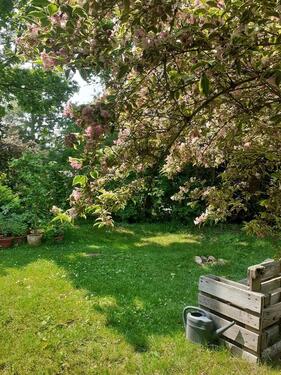 Foto - Grundstück in Lüneburg