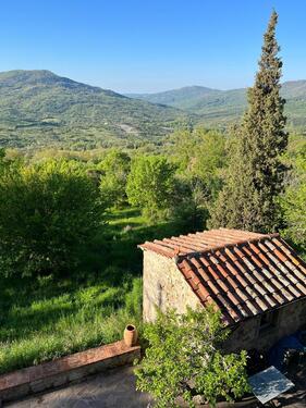 Foto - andere in Sigmaringen