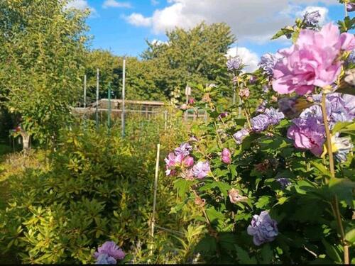 Foto - Grundstück in Bad Segeberg