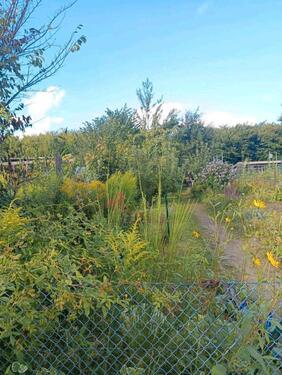 Foto - Grundstück in Bad Segeberg zur Miete