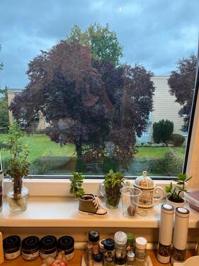 Foto - 3 Zimmer Etagenwohnung zum Kaufen in Rellingen