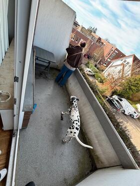 Foto - Etagenwohnung in Oldenburg zur Miete