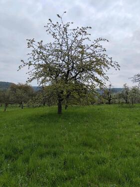 Foto - Grundst&uuml;ck zur Miete in Rudersberg