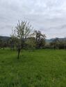 Foto - Grundst&uuml;ck in Rudersberg zur Miete
