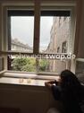 Foto - Wohnungsswap - 2.5 Zimmer, 59 m² - Eilveser Straße, Pankow, Berlin