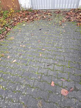 Foto - andere in Springe