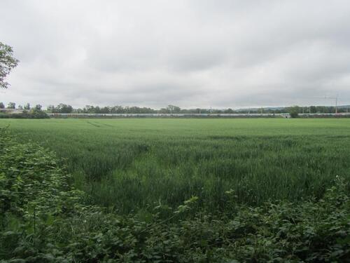 Foto - 5.000,00 EUR Kaltmiete, ca.  0,00 m²