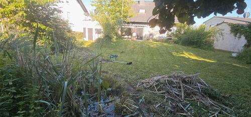 Foto - 6 Zimmer Einfamilienhaus zum Kaufen in Echzell