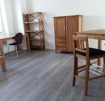 Gemütliche, helle 1-Zimmer-Whg., EBK, zentral, möbliert, Garten - Hildesheim