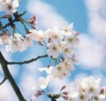 Top-Zweiraumwohnung mit Einbauküche - Hagenow