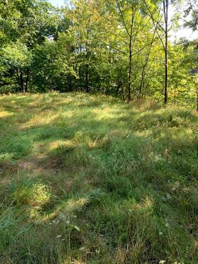 Foto - Freizeitgrundstück, Waldgrundstück,Wiesengrundstück