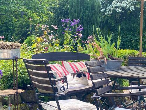 Foto - Einfamilienhaus in Neustadt in Holstein zum Kaufen