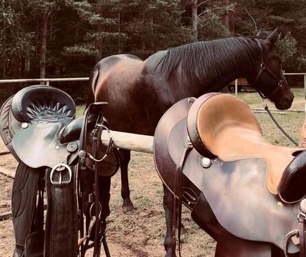 Foto - Einzigartiger Ranchurlaub in Schweden, Småland