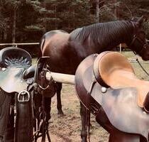 Einzigartiger Ranchurlaub in Schweden, Småland - Stapelfeld