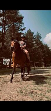 Foto - andere in Stapelfeld zur Miete