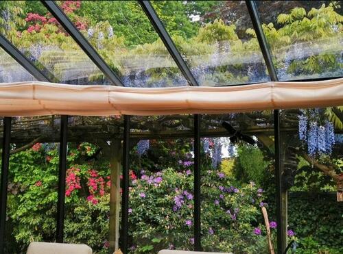 Foto - Einfamilienhaus in Stade zum Kaufen