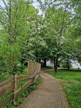 Foto - Etagenwohnung in Bad Säckingen zur Miete