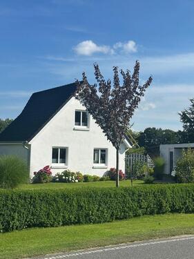 Foto - 2 Zimmer Einfamilienhaus zum Kaufen in Delve