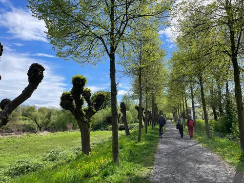 Foto - 5 Zimmer Etagenwohnung in Hennef (Sieg)