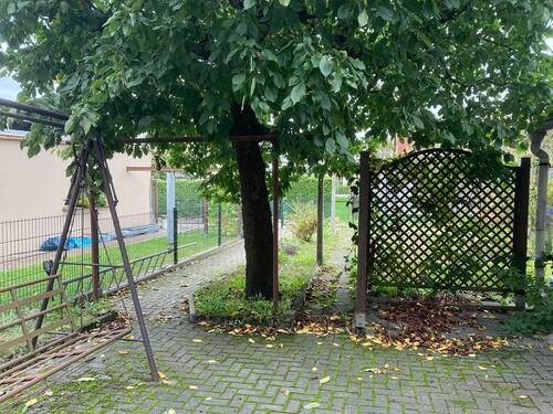 Foto - Reihenhaus in Lauchhammer zum Kaufen