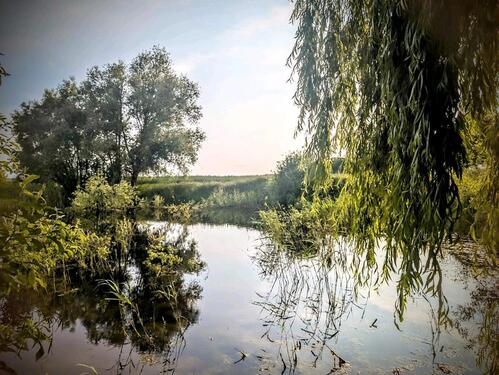 Foto - Einfamilienhaus in Süderholz