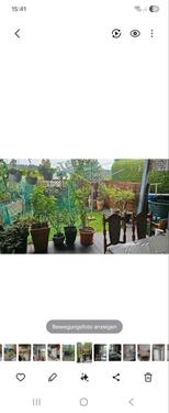 Foto - Verkaufe Reihenendhaus - 385.000,00 EUR Kaufpreis,