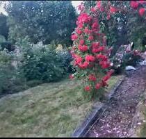 Kleingarten 260qm - 700,00&nbsp;EUR Kaltmiete, ca.&nbsp; 0,00&nbsp;m&sup2; in Heidenau (PLZ: 01809)