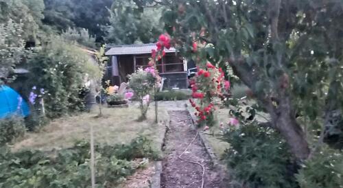 Foto - Grundstück zur Miete in Heidenau