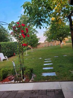 Foto - Garten Grundstück - 11,00&nbsp;EUR Kaltmiete, ca.&nbsp; 0,00&nbsp;m&sup2;