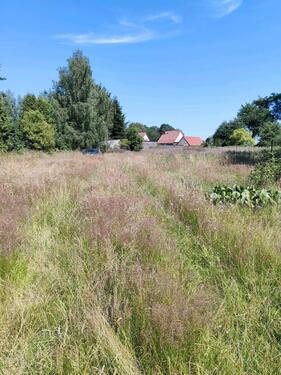 Foto - Einfamilienhaus in Wittenhagen