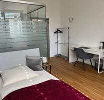 1 Zimmer Apartment Neubau (alles inklusive) - 2 Monate o. Länger - Weingarten