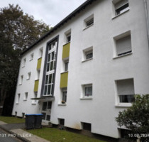 ab 01.06.26: helle, gut geschnittene 3ZKB Wohnung mit Balkon und Kellerraum (Whg 42) - Siegen