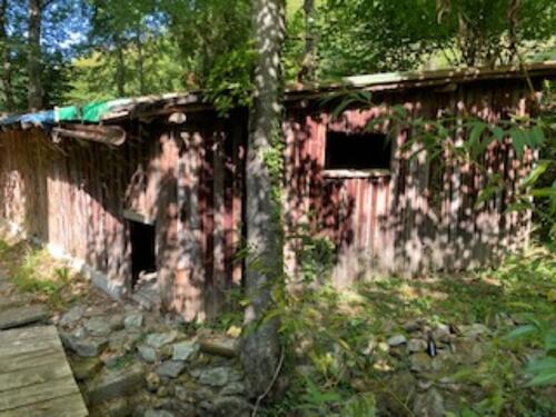 Foto - Grundst&uuml;ck zur Miete in Horben