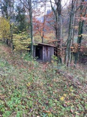 Foto - Grundst&uuml;ck in Horben zur Miete