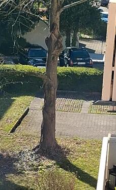 Foto - Parkplatz zu vermieten - 50,00&nbsp;EUR Miete,